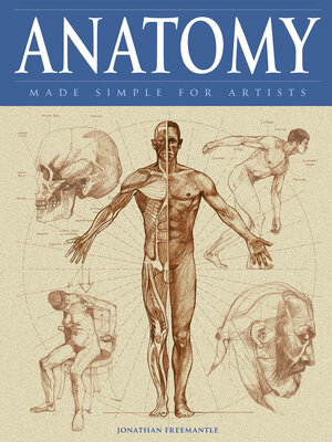 cover image of Anatomy Made Simple for Artists
